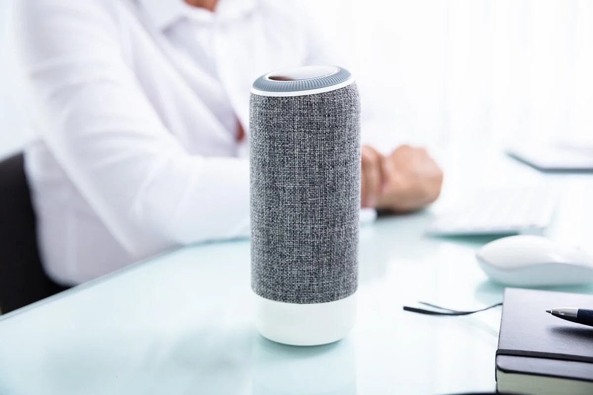 Voice_Search Voice search SEO: When a result is all that counts