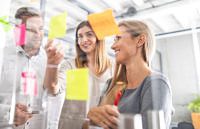 business-developement-startup