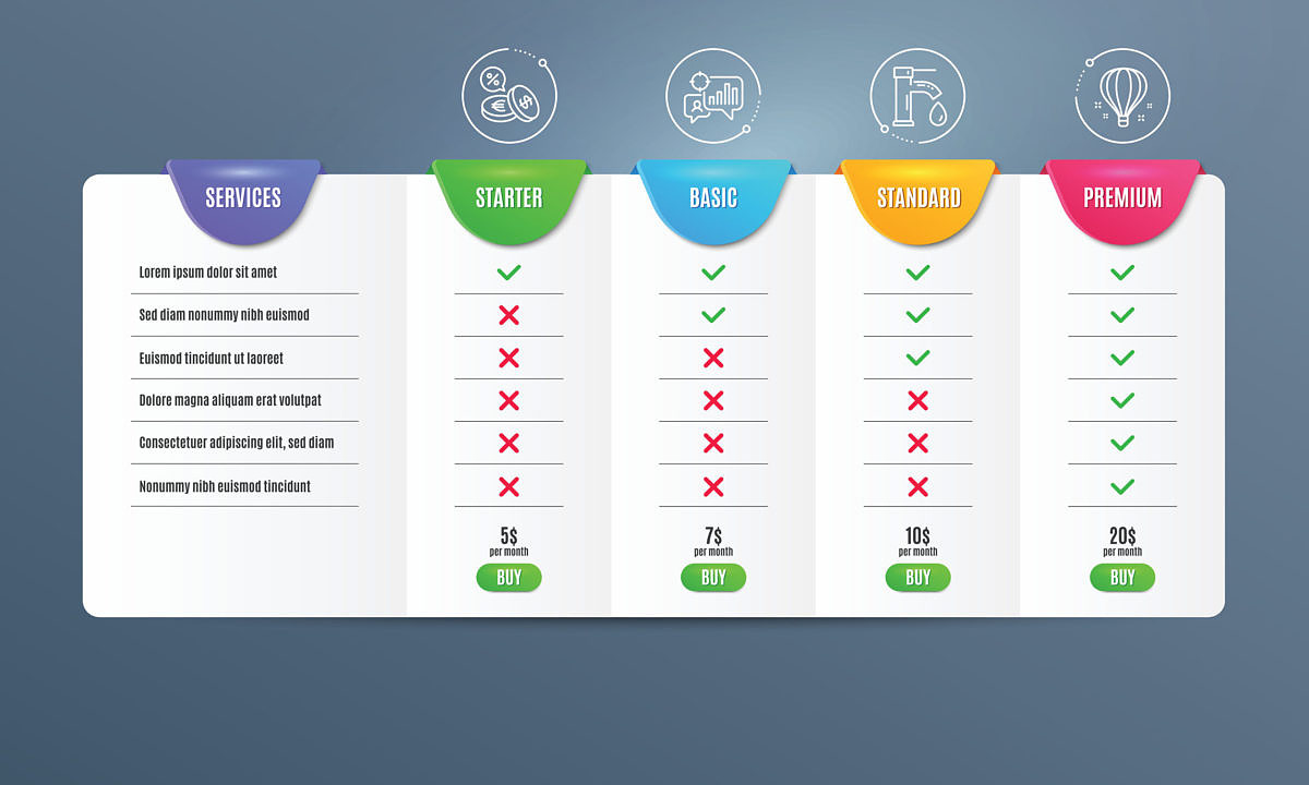 The SaaS pricing model determines the success of a B2C and B2B software solution.