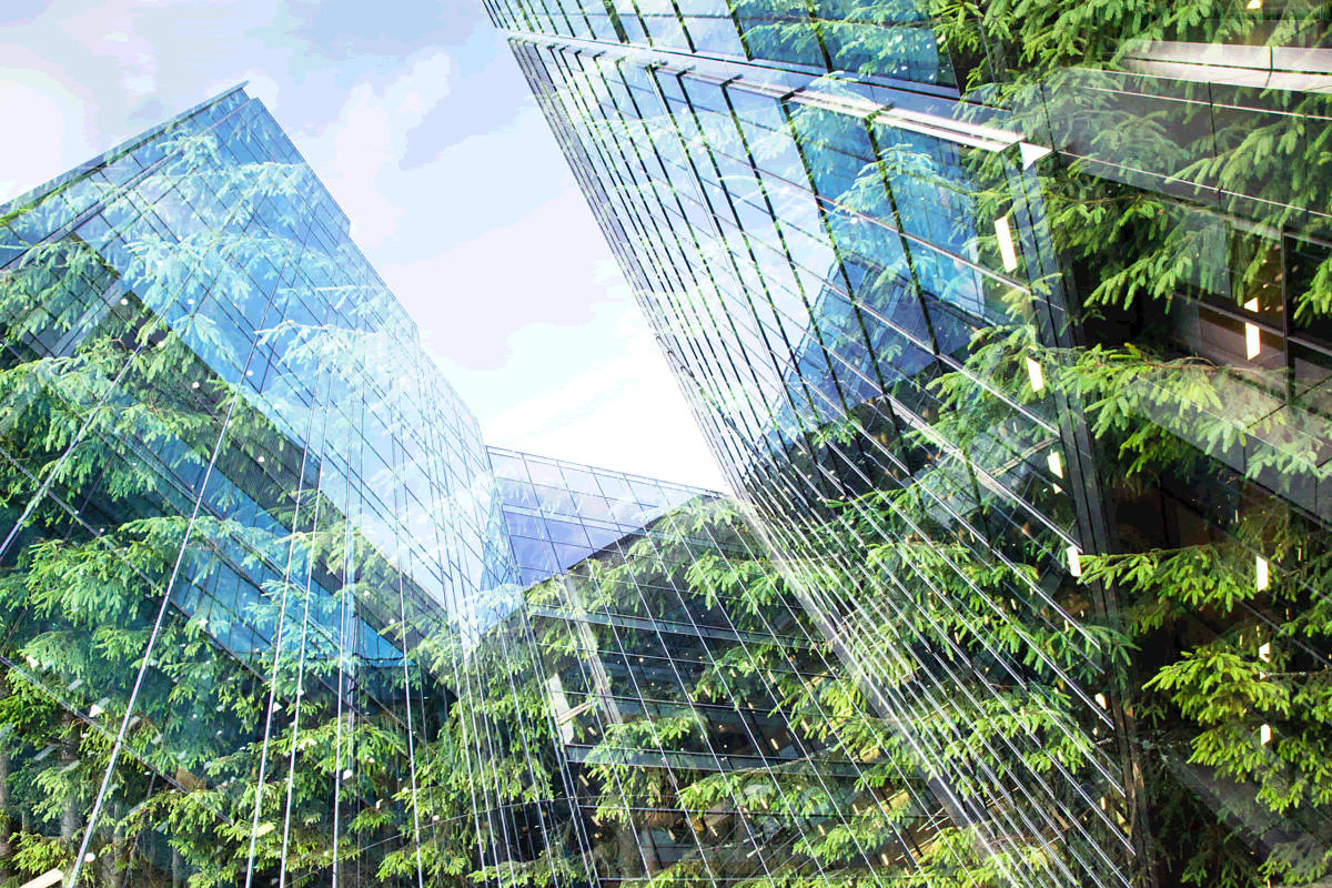 Nachhaltigkeitsmarketing, Green Marketing, Öko-Marketing im Green Guide