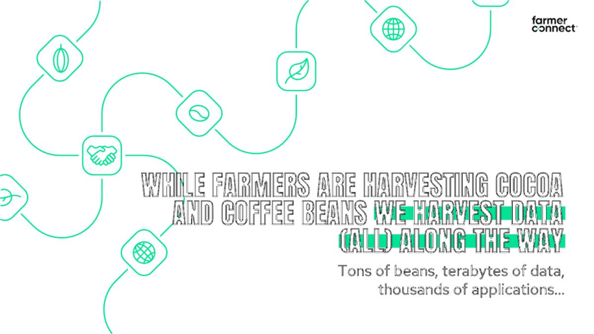 farmer connect® erntet Daten, Bauern Kaffee und Kakao. Tonnen von Kaffeebohnen, Terabytes von Daten, Tausende Anwendungen