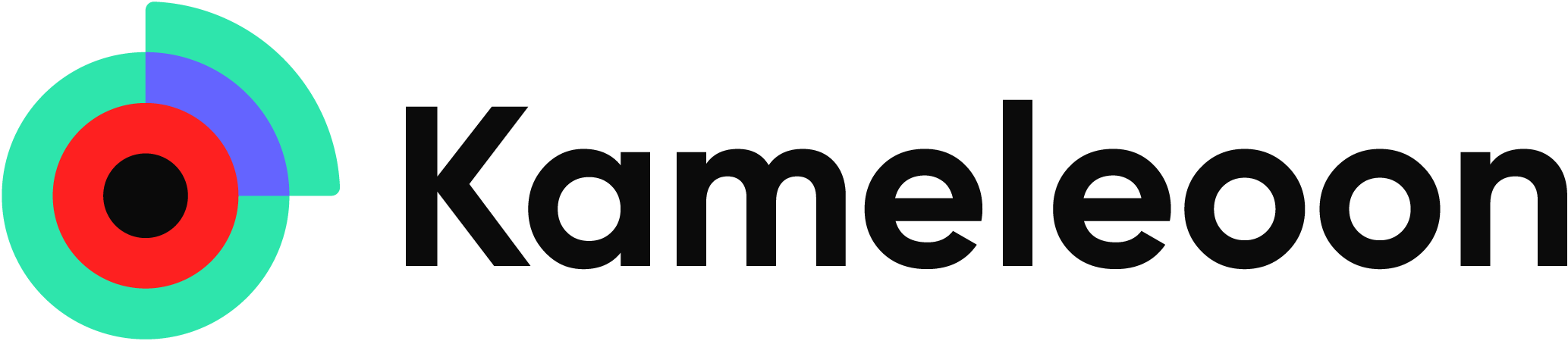 Kameleoon Kameleoon