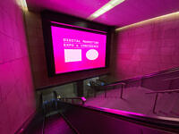 KI-Tools im Marketing