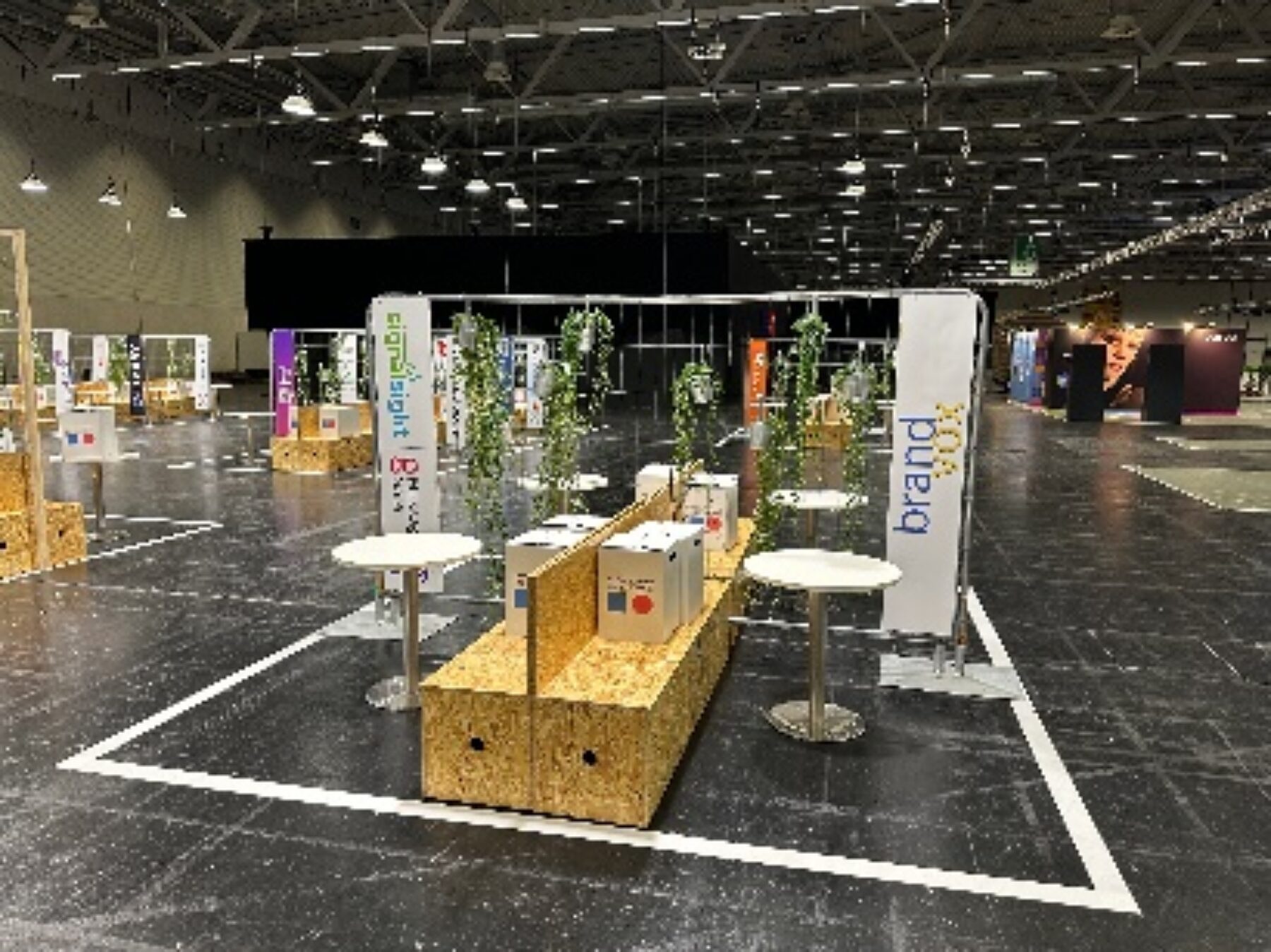 Start up Basic/ Stage