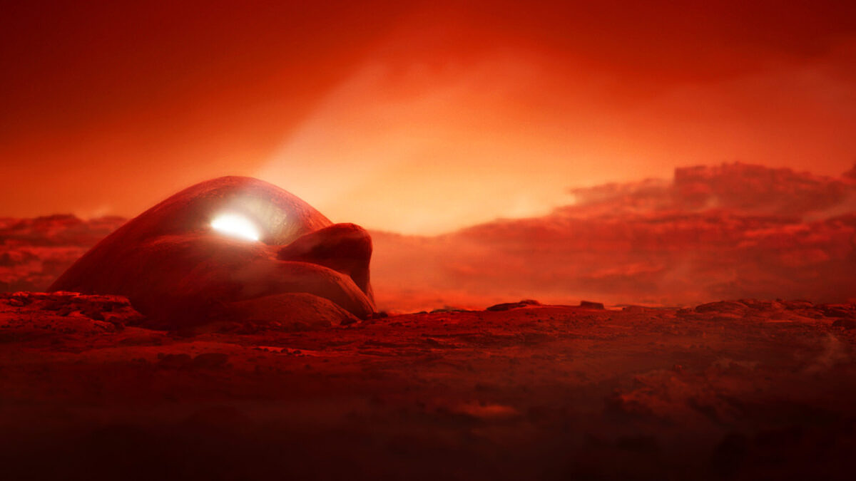 Immersive Experiences: Kampagne Diesel