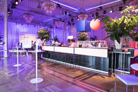 Large-VIP Opening Party