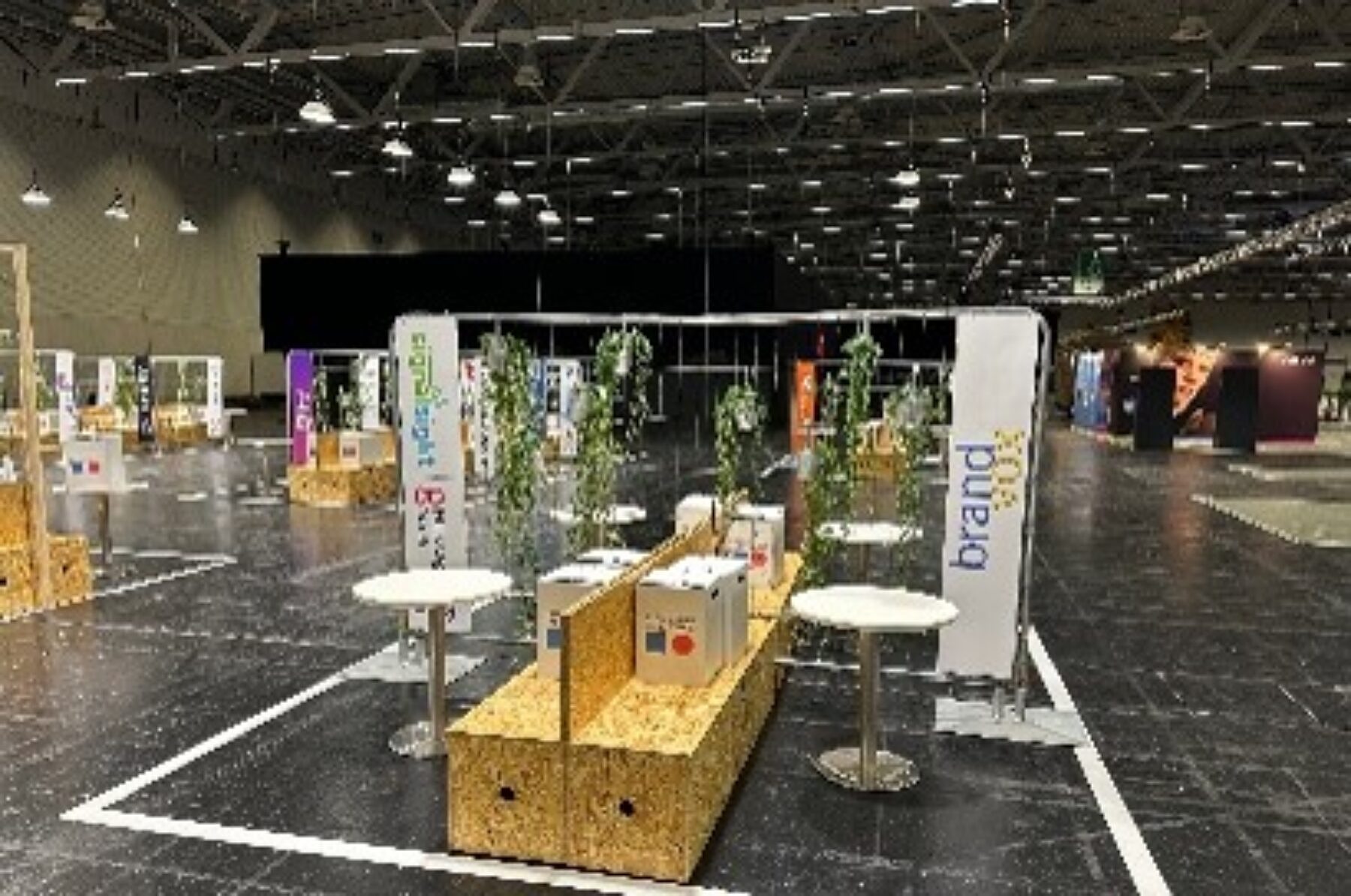 Start-up Stage