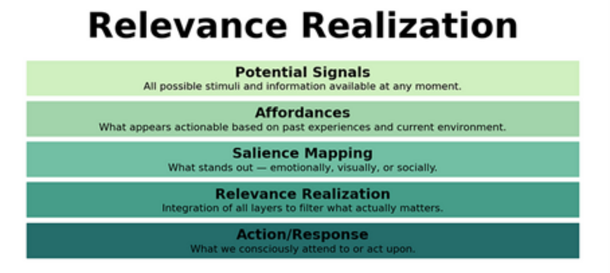 Graphic illustrating Relevance Realization with five levels—from stimulus to conscious action through information filtering.