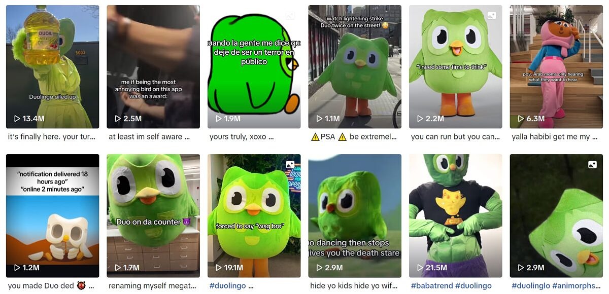 Exemplary educational content comes from Duolingo on TikTok